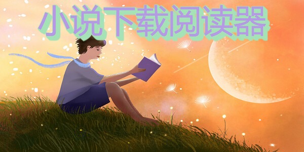 小说下载阅读器