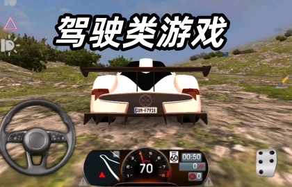 驾驶类游戏