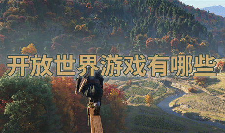 开放世界
