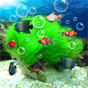 水族馆屏保
