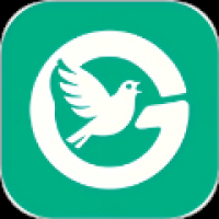 飞鸟英语手机版