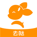 去上网