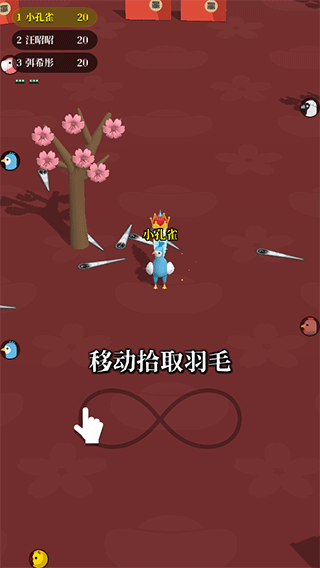 孔雀拔毛大赛