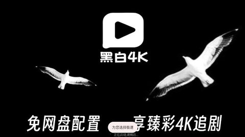 黑白4K官方正版截图1