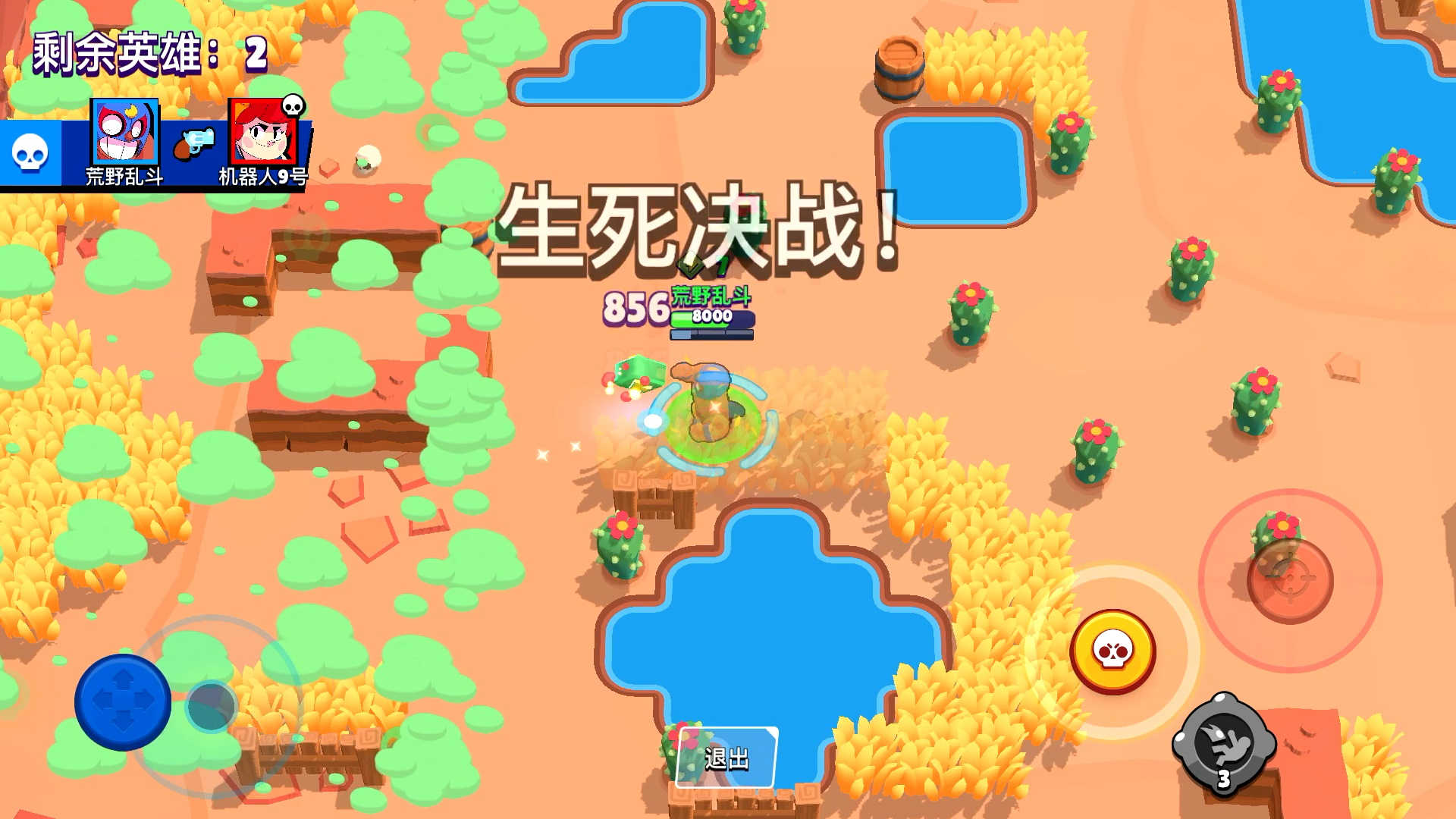 荒野乱斗