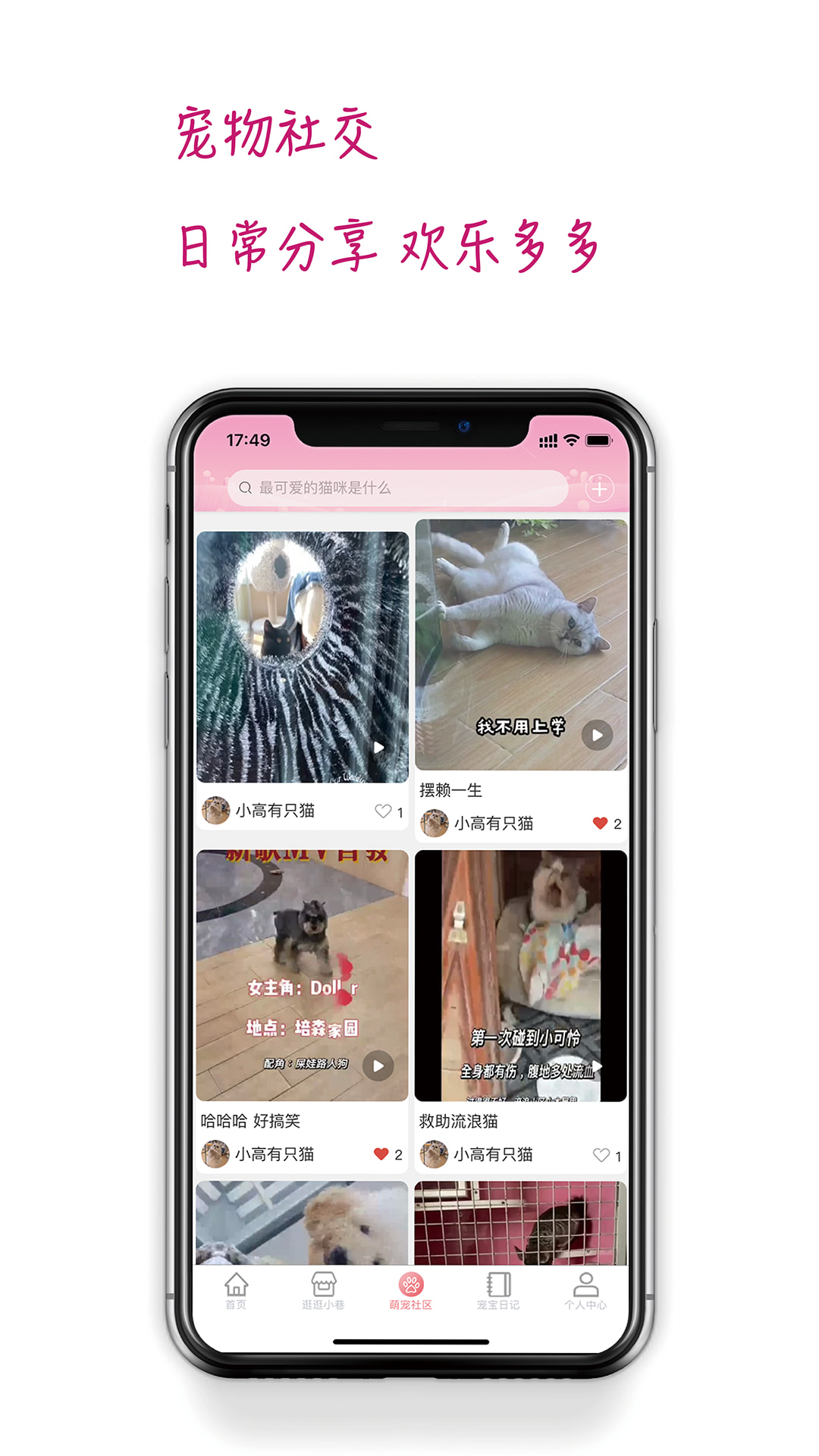 培森家园截图3