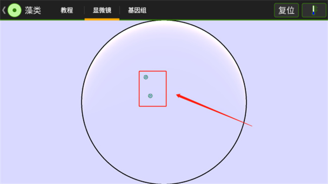 细胞实验室汉化版截图2