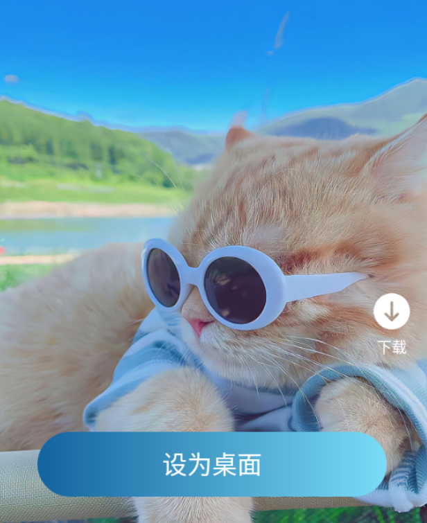 飞羽壁纸图片