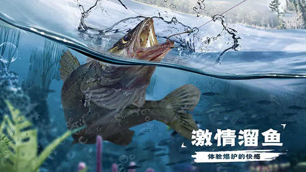 天天钓鱼截图3