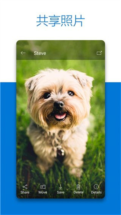 微软云盘onedrive截图3