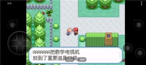 口袋妖怪绿叶