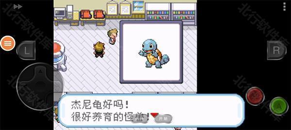 口袋妖怪绿叶