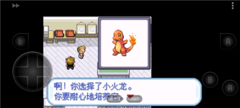 口袋妖怪绿叶