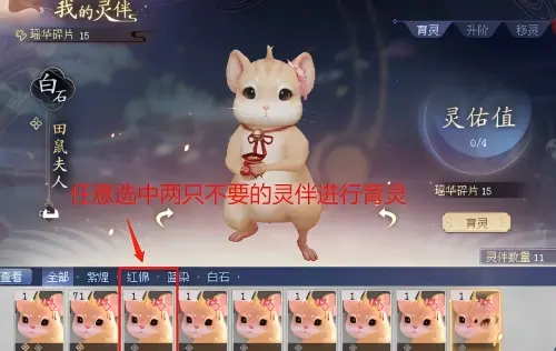 倩女幽魂灵伴怎么升阶