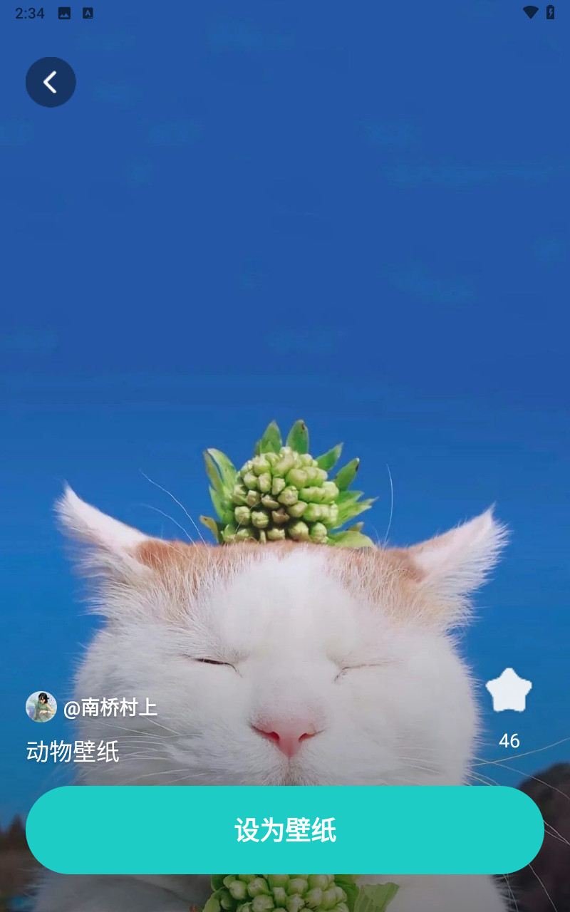 青藤壁纸背景图