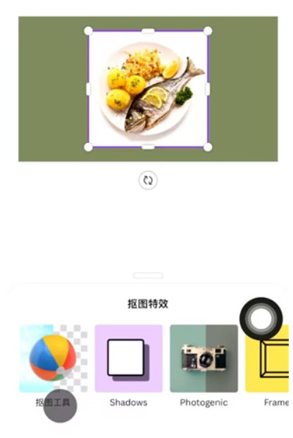 canva可画软件