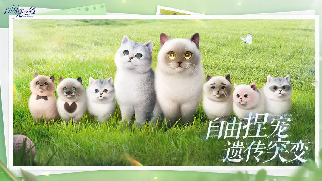 以闪亮之名截图1