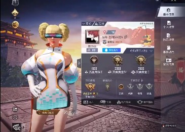 和平精英美化包正式版