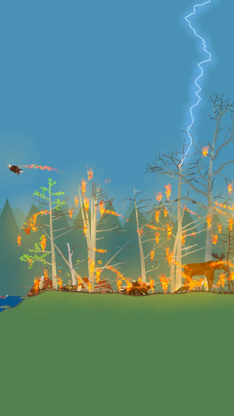 小松林手机版截图1