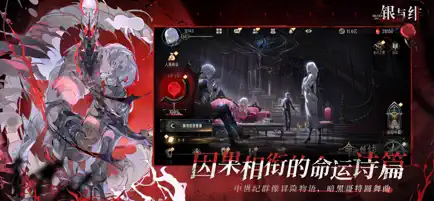 银与绯截图2