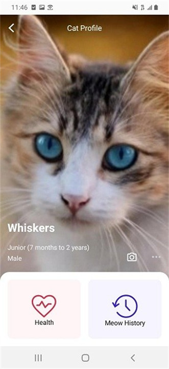 meowtalk猫语翻译器截图3