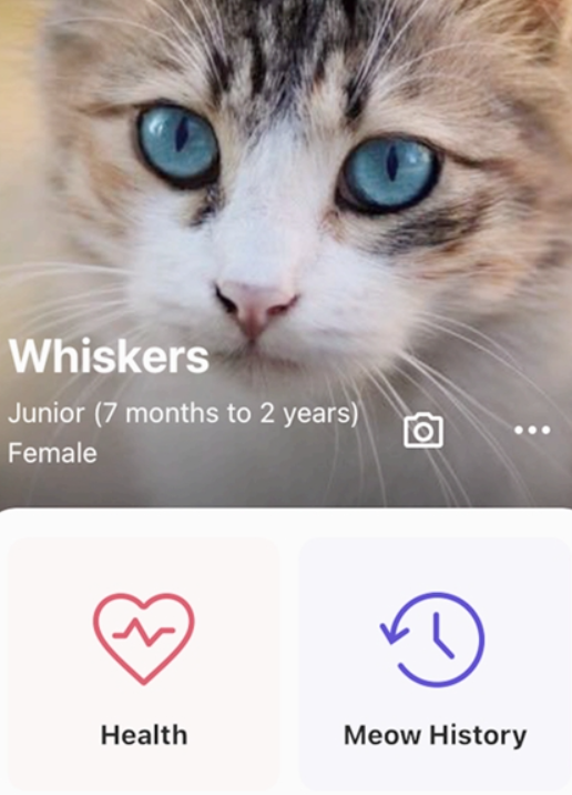 meowtalk猫语翻译器