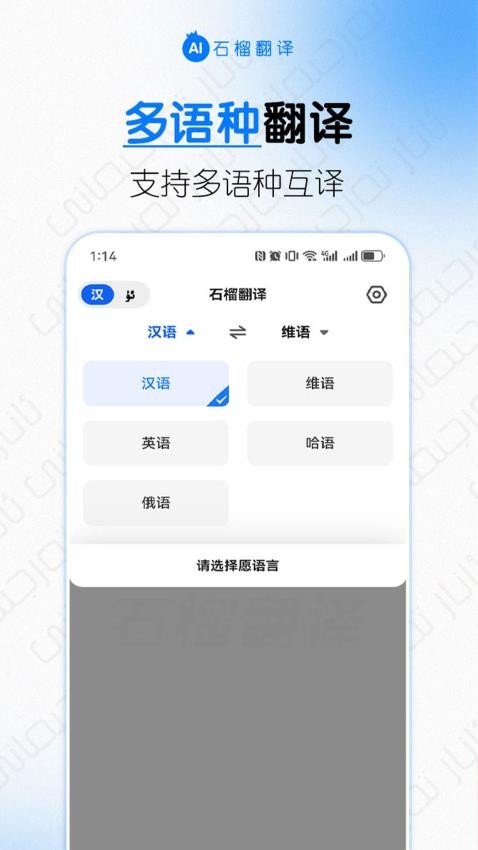石榴翻译截图2