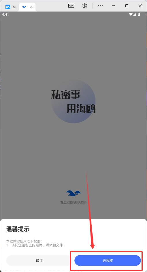 海鸥聊天