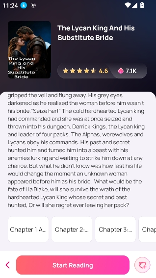 NovelBuddy中文版截图1