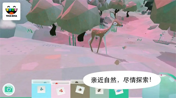 托卡大自然截图3