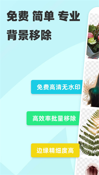 椰子背景截图5