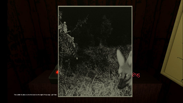 动物观察员手机版截图1