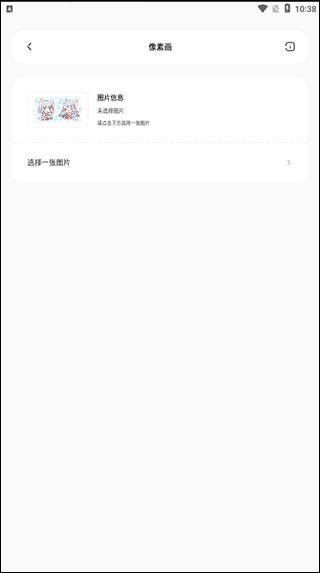 迷你兔子