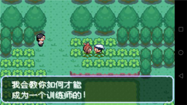 口袋妖怪刽曜之影