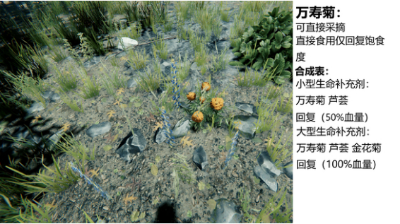 森林