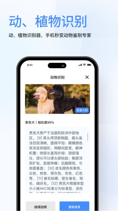 春枫扫描截图4