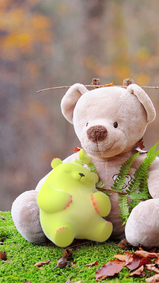 治愈萌芽熊2截图2