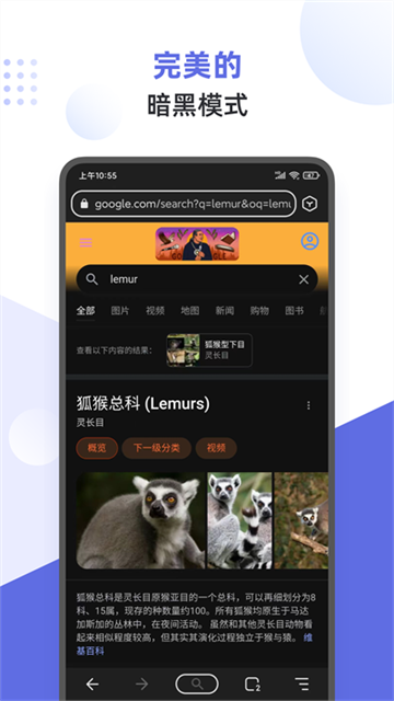 狐猴浏览器截图4