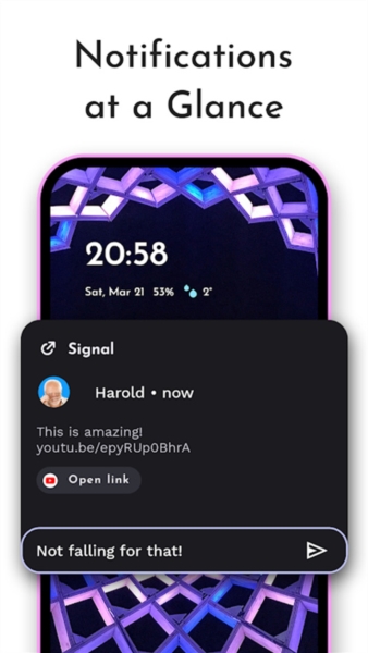 Niagara桌面启动器截图1