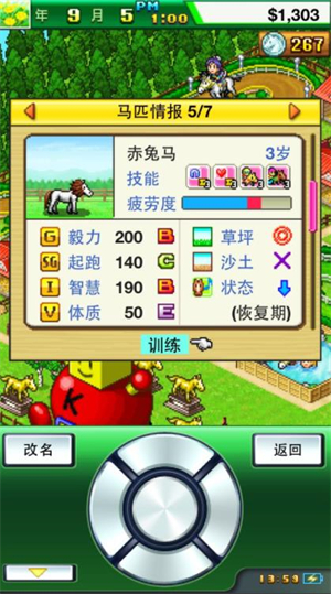 顶级跑马牧场