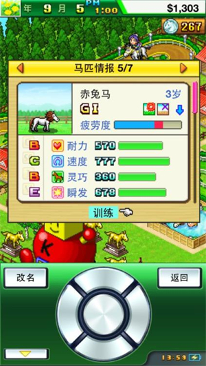 顶级跑马牧场
