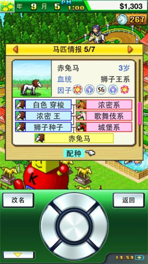 顶级跑马牧场