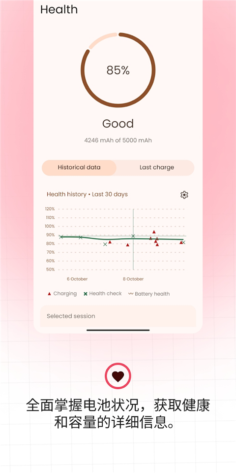BatteryGuru汉化版截图2