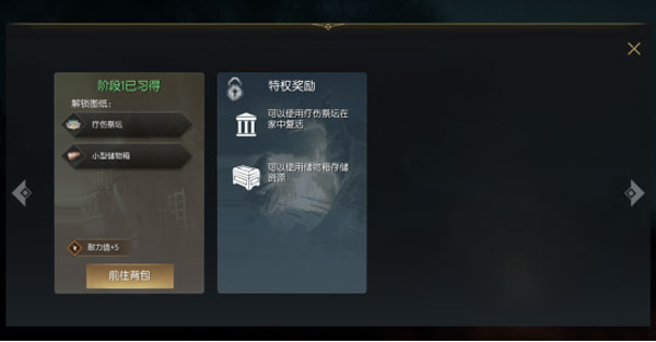 黑光生存进化
