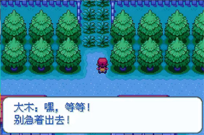 口袋妖怪激进红截图1