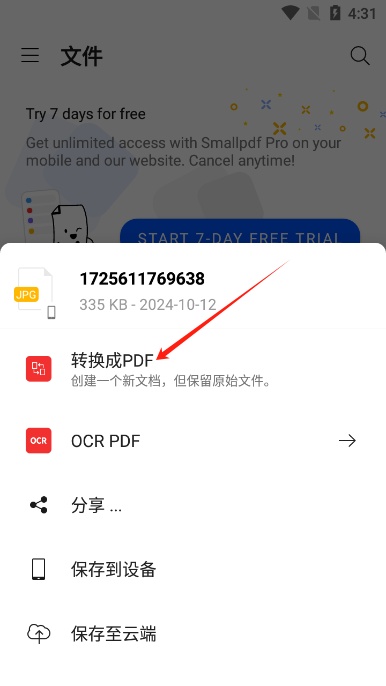 smallpdf专业版截图3
