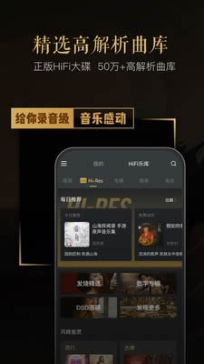 VIPER HiFi截图4