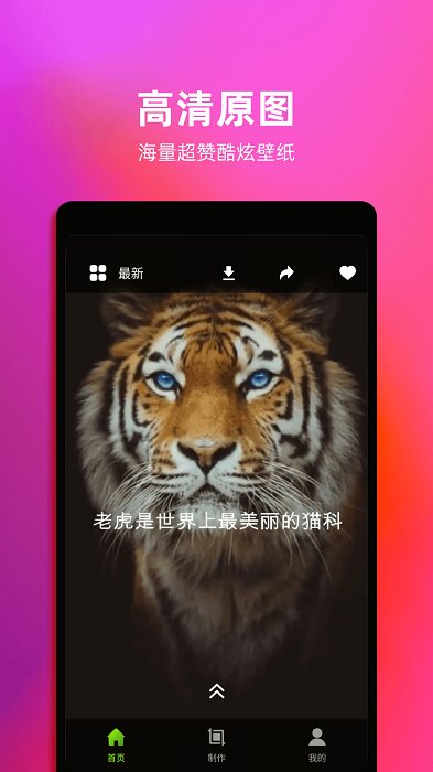 4K动态壁纸截图3
