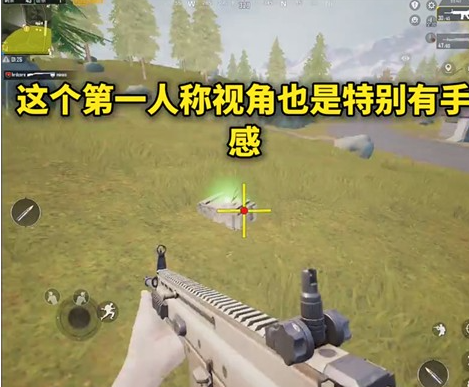 画质助手mxpro