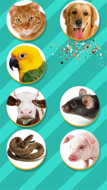 PetTranslator截图2